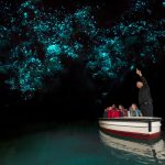 glowworm caves Nieuw Zeeland