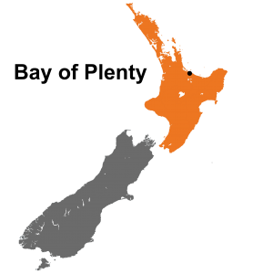 Bay of Plenty New Zealand